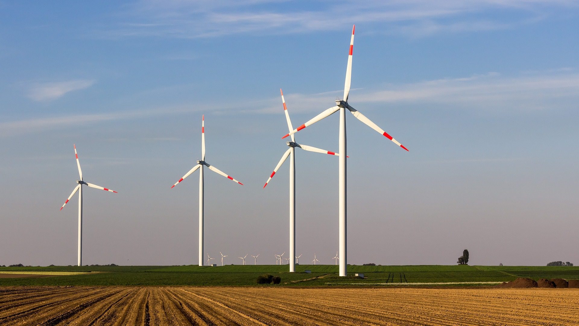 Foto von vier Windrädern auf einem Feld