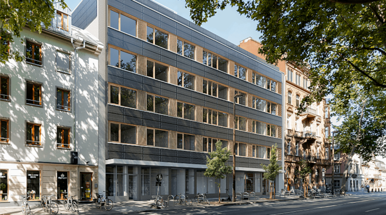 Domblick Mainz