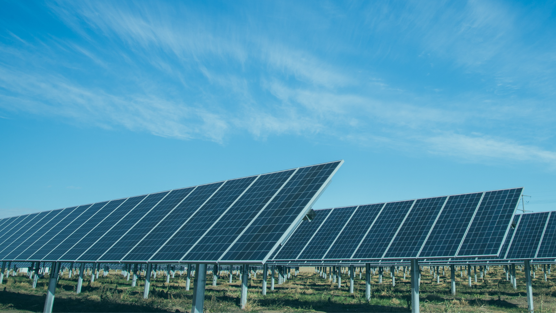 Ein Solarpark auf einem Feld