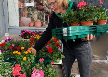 Verena Nilges Ideen mit Blatt und Blüte