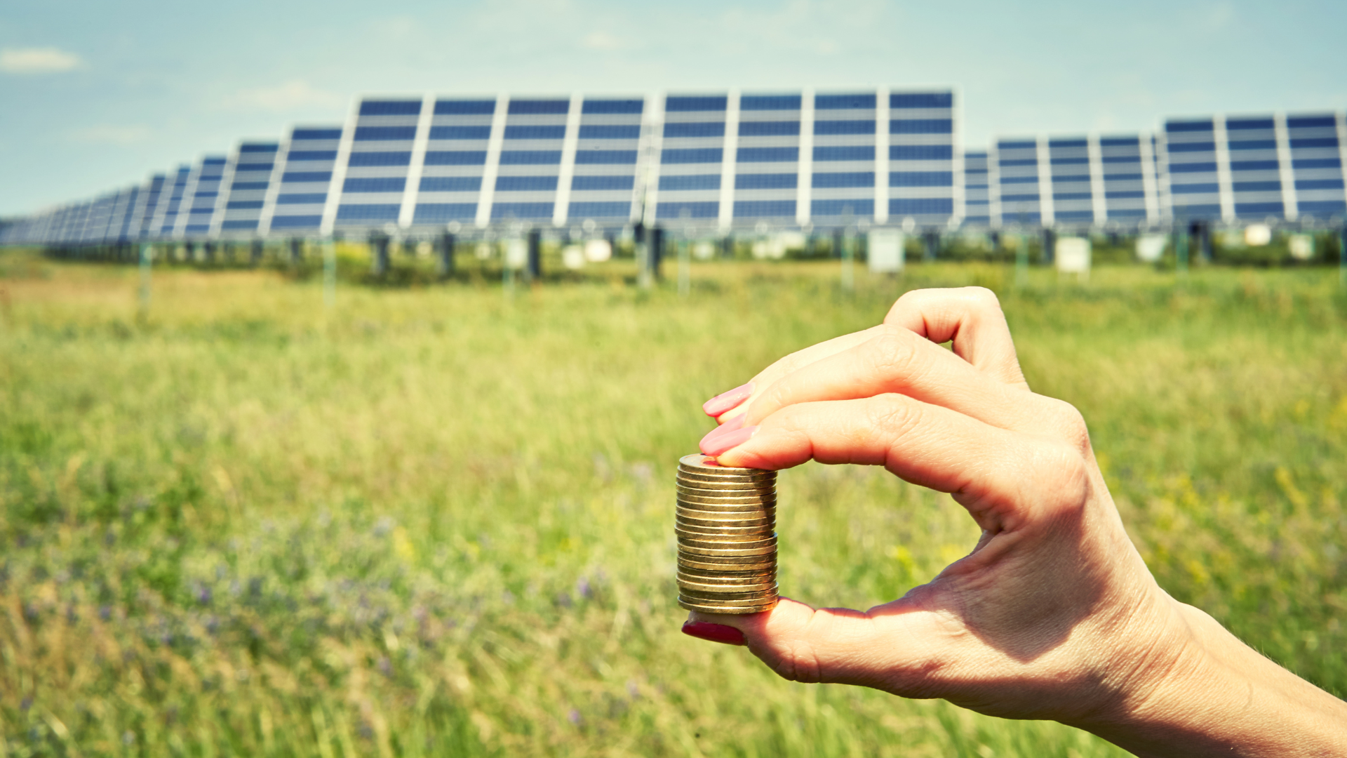 Hand mit Geldmünzen vor einem Solarpark